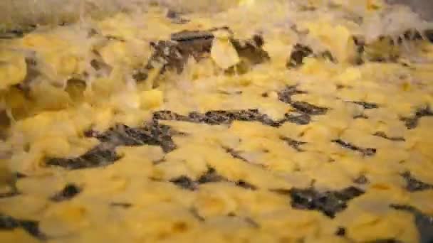 Gıda fabrikası konveyör sarı cips, yağda kızartılmış taşır. — Stok video