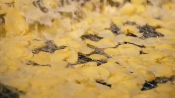 Заводське обладнання працює, обсмажуючи картопляні чіпси в олії . — стокове відео