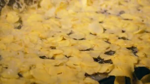 Batatas fritas frescas se movem em uma linha de fábrica após o ato de fritar . — Vídeo de Stock