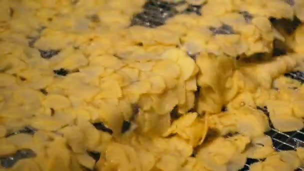 Növény-szállítószalagon lévő tiszta burgonya szeletek élelmiszer létesítményben. — Stock videók