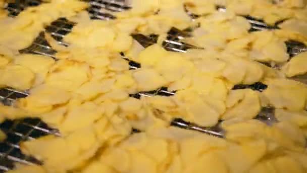 Croustilles jaunes se déplaçant sur une ligne de cage à une usine alimentaire . — Video