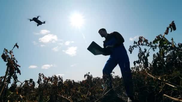 Jeden muž pracuje s bzukot na poli s plodinami. — Stock video
