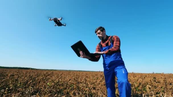 Landarbeiter steuert Drohne auf einem Feld. — Stockvideo