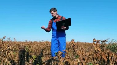 Kişi dizüstü bilgisayar ile çalışan, bir alanda kuru bitkileri kontrol eder.