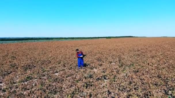 带笔记本电脑的农民在田地里检查干燥的作物. — 图库视频影像