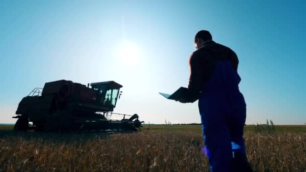男性の農業学者は、作物とフィールドをチェックします. — ストック動画
