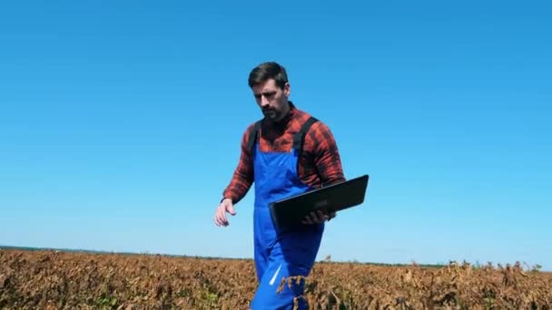 Hombre agricultor camina en un campo con cultivos, sosteniendo una computadora portátil . — Vídeos de Stock