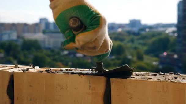 Närbild av cement blir tunt sprids på tegelstenarna — Stockvideo