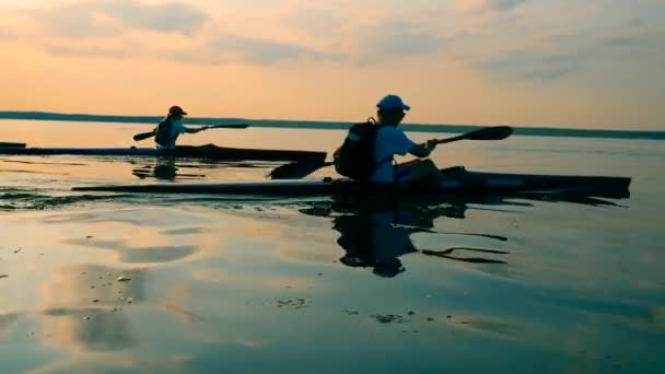 Bir grup kürekçi göl boyunca kanoyla geziniyor. — Stok video