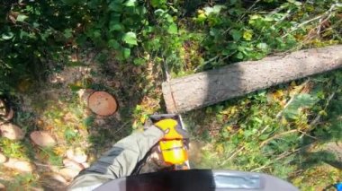 Bir işçi elektrikli testereyle ağacı keser..