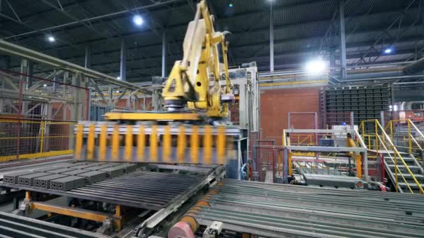 Ladrillos procesados están siendo desplazados por el brazo robótico industrial moderno — Vídeos de Stock
