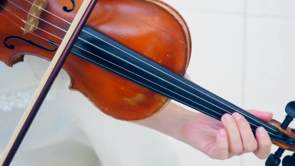 ヴァイオリニストは肩に楽器を持ち、演奏中にフィドルスティックを使う. — ストック動画