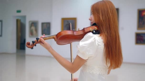 Persona suona il violino in legno, si esibisce in un museo con immagini . — Video Stock