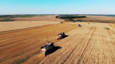 Çavdar tarlası mekanik ile birlikte hareket eden birleştirir