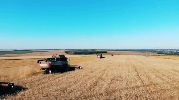 Campo di grano con combinazioni meccaniche — Video Stock