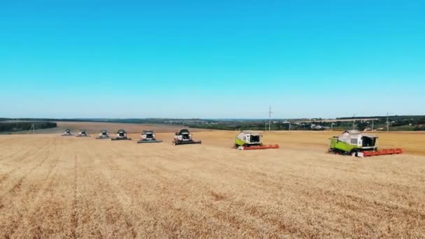 Groep van de combinatie beweegt langs het tarwe veld — Stockvideo