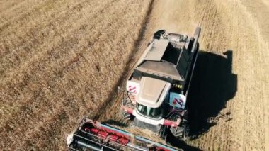 Endüstriyel birleştirir tahıl bitkileri hasat vardır