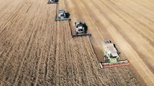 Nejvyšší pohled na kombinace sklizňového zrna v terénu — Stock video