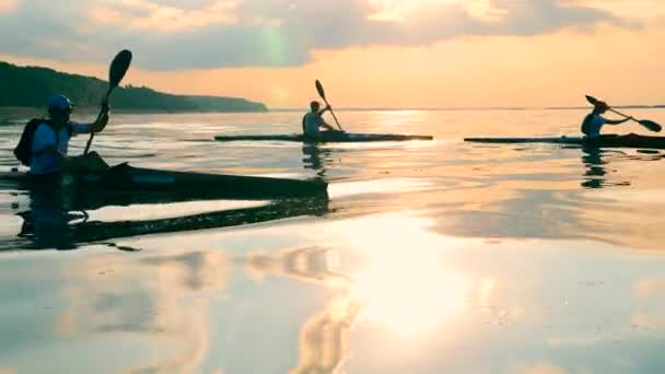 それらに沿って漂う夕日の海とパドラー — ストック動画
