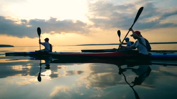 Remadores flotan juntos a lo largo del agua — Vídeo de stock