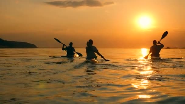 Achteraanzicht van roeiers peddelen bij zonsondergang — Stockvideo