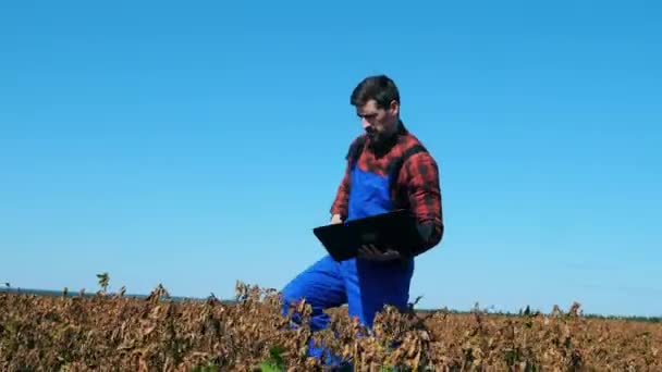 Agricultor con un ordenador portátil está caminando a través de plantas marchitas — Vídeo de stock