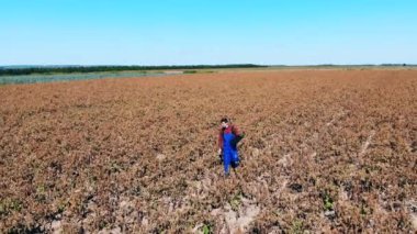 Erkek agronom soluk alan boyunca yürüyor