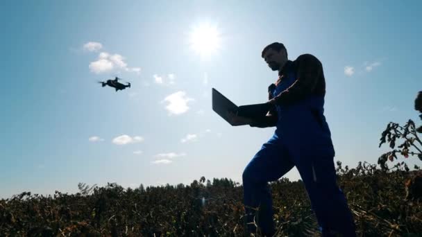 Agriculturist is sanding with a laptop and a drone flying nearby — Stock Video
