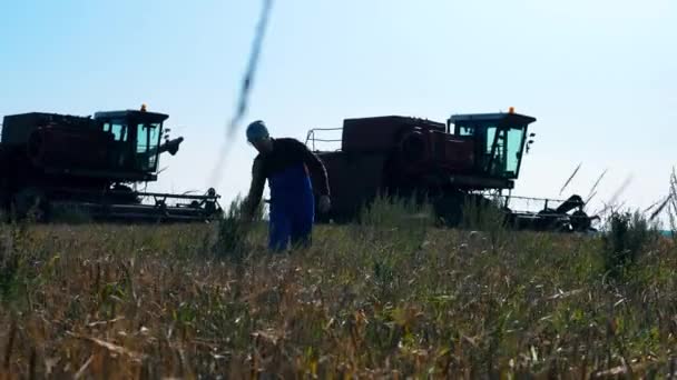 Agrotécnico está andando ao longo do campo de centeio — Vídeo de Stock