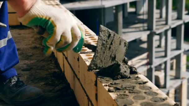 Un contratista trabaja con una pared de ladrillo, construyendo una casa . — Vídeos de Stock