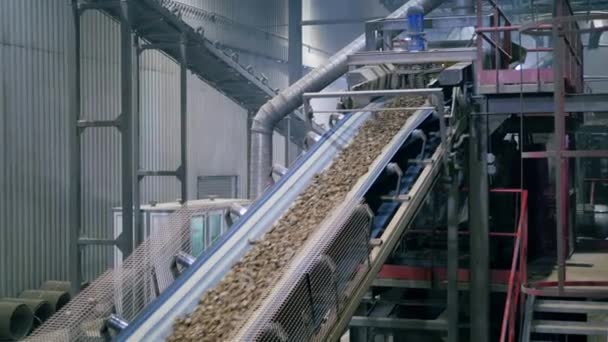 Línea transportadora de fábrica piedras móviles . — Vídeos de Stock