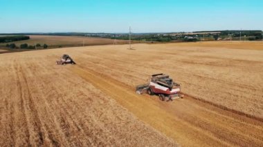 Ekinler biraraya gelerek hasat ediliyor.