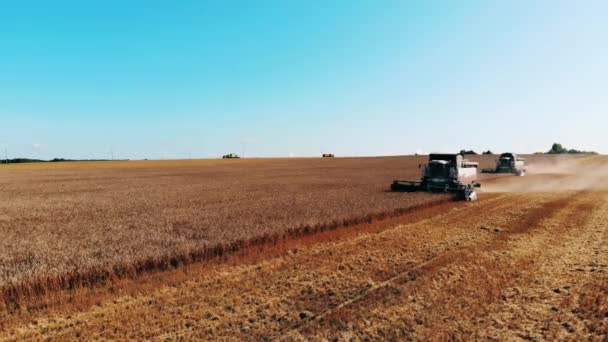 Зерноуборочные комбайны собирают урожай в поле — стоковое видео
