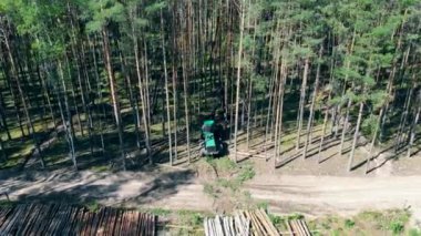 Bir traktör ormanda ağaçlarla çalışır. Çevre sorunu ormansızlaşma, ağaç kesimi.