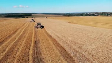 Hasat sırasında alan boyunca hareket birleştiren backside görünümü