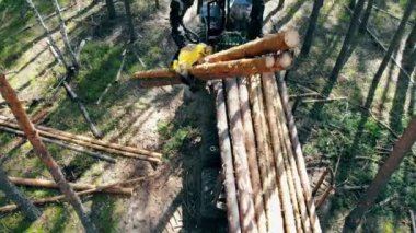 Çalışan vinç ormanda ağaç gövdeleri toplar. Ormansızlaşma ve ağaç kesme konsepti.