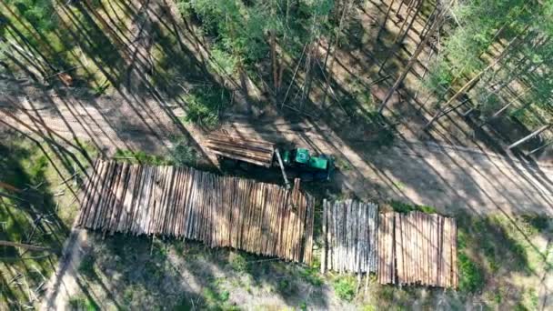 Traktor legt Baumstämme in Stapel. Umweltproblem Entwaldung, Holzeinschlag. — Stockvideo