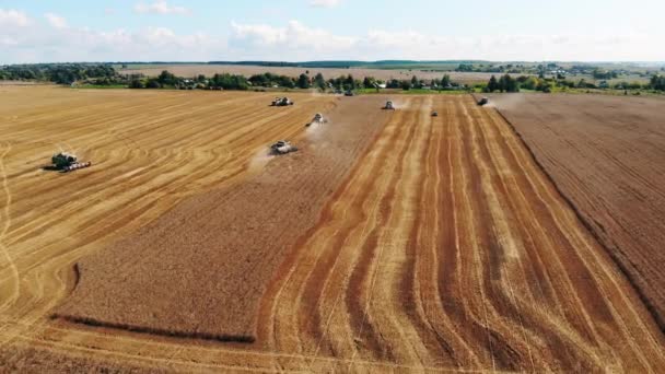 Процесс сбора урожая на сельскохозяйственных комбинатах — стоковое видео