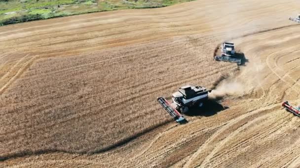 Top view of harvester-threshers collecting crops — Stock Video