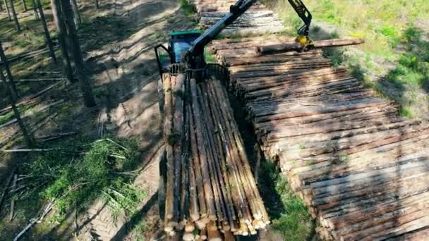 Miljöproblem avskogning, avverkning. En traktor med kran plockar träd. — Stockvideo