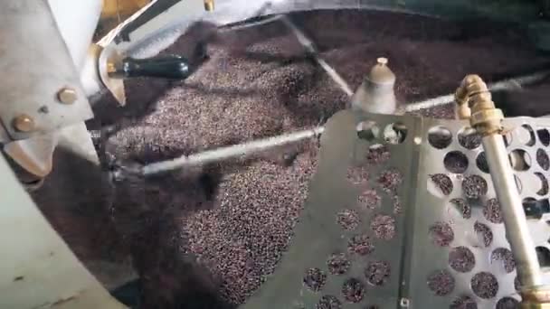 Mecanismo de rotación está mezclando semillas de café — Vídeo de stock