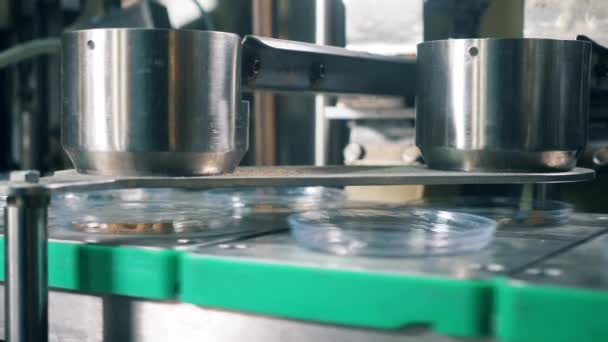 Fabrieksapparatuur vult plastic platen met broodkruimels — Stockvideo
