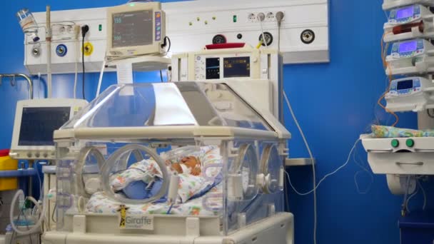 A baby sleeps in a modern incubator in a hospital ward. — Stock Video