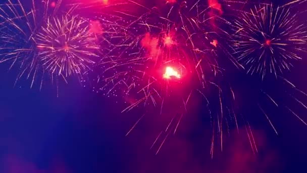 Der dunkle Himmel wird mit Feuerwerk erleuchtet — Stockvideo