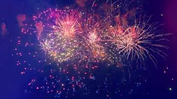 Flashes coloridos de fogos de artifício estão explodindo no céu — Vídeo de Stock
