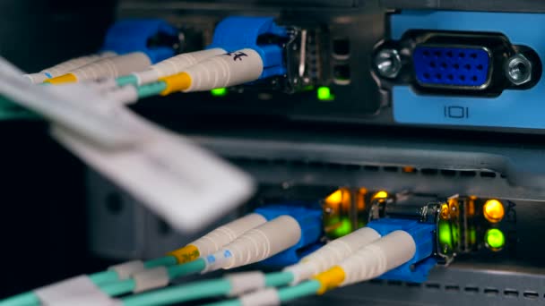 Cables conectados a un ordenador servidor . — Vídeo de stock