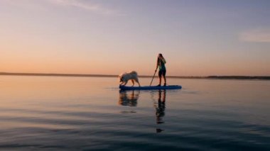 Bir köpek metresi ile paddleboard üzerinde duruyor