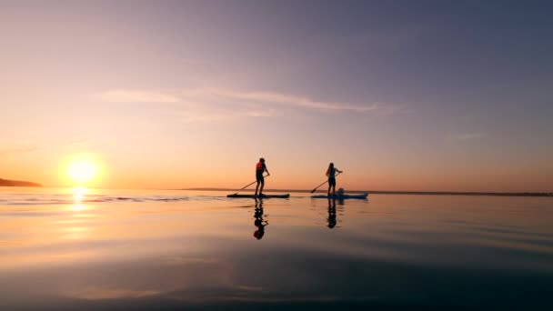 Stand-up paddleboarding av en pojke, en kvinna och en hund — Stockvideo