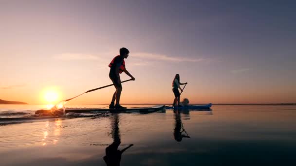 SUP of two young people and a dog at sunset — Stock Video