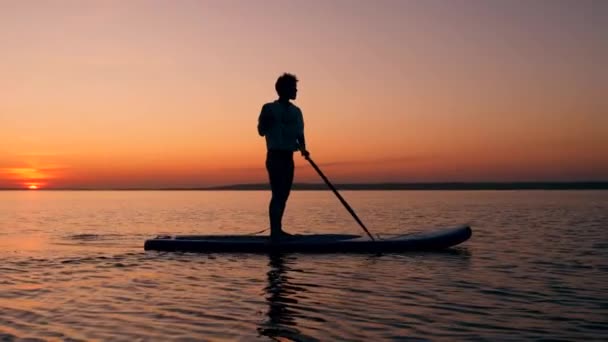 En pojke paddleboarding över Sunset Lake — Stockvideo